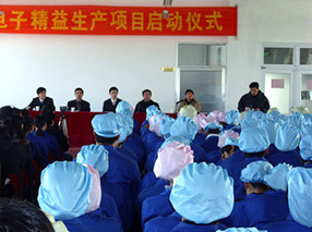 山東某電子公司精益生產線案例