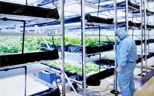 精益管可以做大棚管嗎？