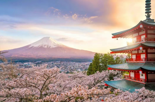 2025【精益生產(chǎn)+Karakuri 改善大會】一場關(guān)于“智慧”與“循環(huán)”的深度研學(xué)